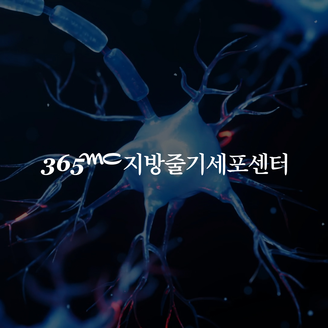 365mc 지방줄기세포센터 웹 · 모바일 웹사이트 구축, CMS · 시스템 개발, UI/UX 디자인