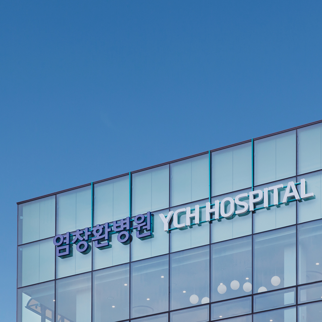 염창환 병원 웹 · 모바일 웹사이트 구축, CMS · 시스템 개발, UI/UX 디자인, CI/BI, 기타
