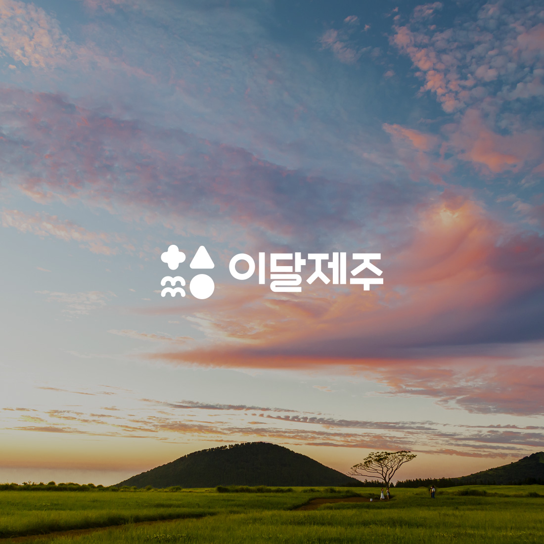 제주여행 플랫폼 이달제주 웹 · 모바일 웹사이트 구축, UI/UX 디자인, CMS · 시스템 개발, CI/BI, 일러스트 · 그래픽 디자인