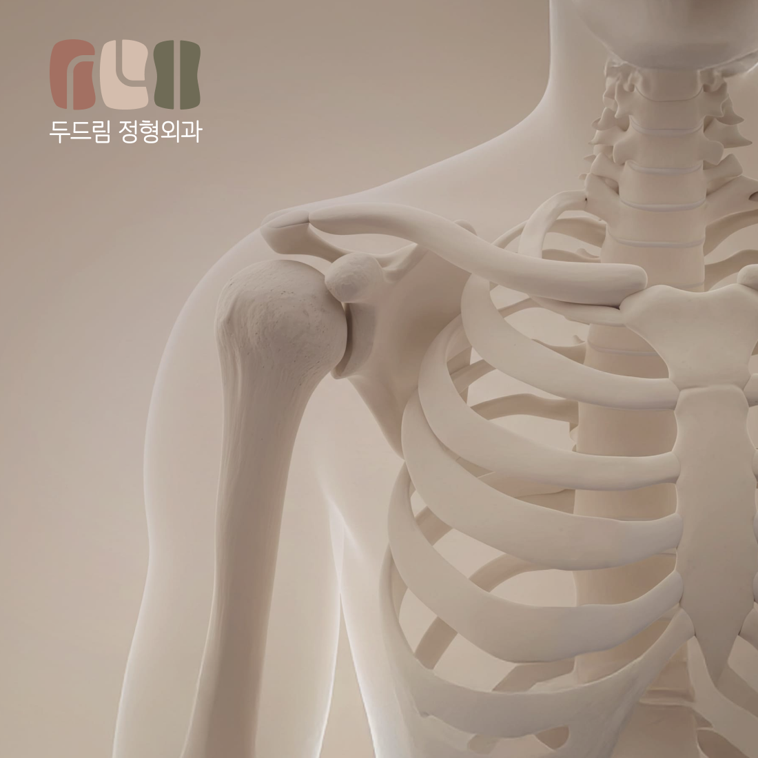 두드림정형외과 웹 · 모바일 웹사이트 구축, CMS · 시스템 개발, UI/UX 디자인