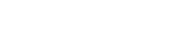 Avikus