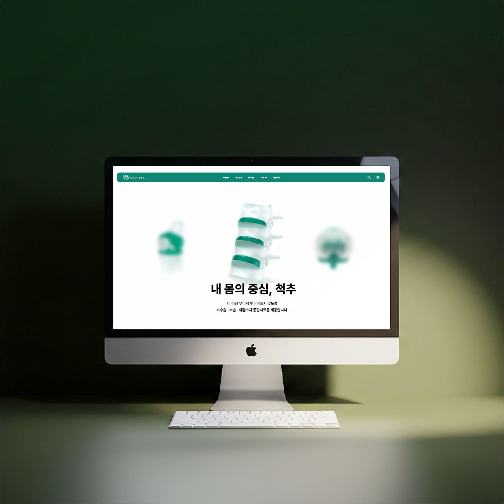 척추 3D 그래픽 목업