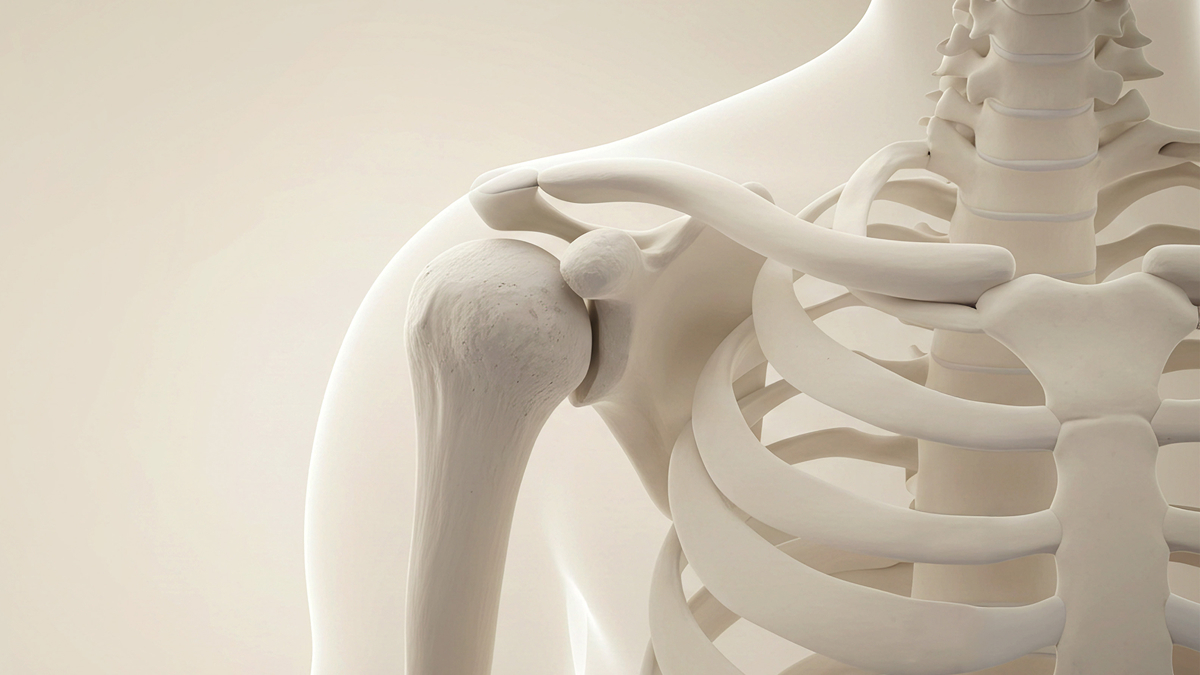 두드림정형외과 ai 이미지