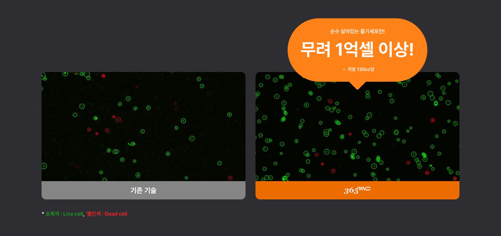세포 이미지와 수치를 결합한 인포그래픽