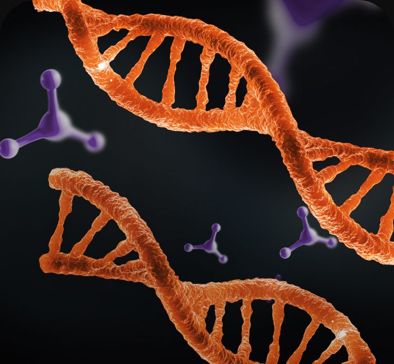오렌지색 DNA 이중나선 3D 이미지